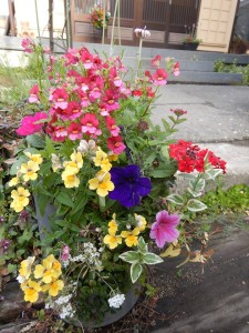 58113365_573975076434715_561481508397776896_n