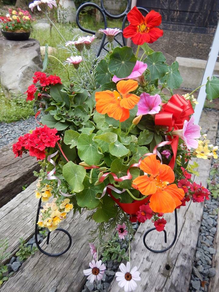 開店祝いにハンギングバスケット