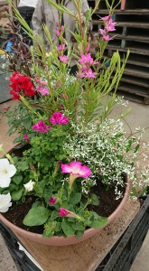 58571140_417142155740895_5869539823252930560_n