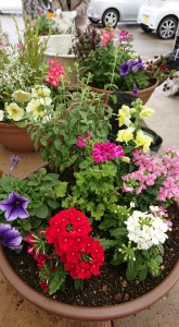 58598999_270701103811088_5328397527622352896_n