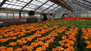 58606415_808650559518796_4845609045677047808_n