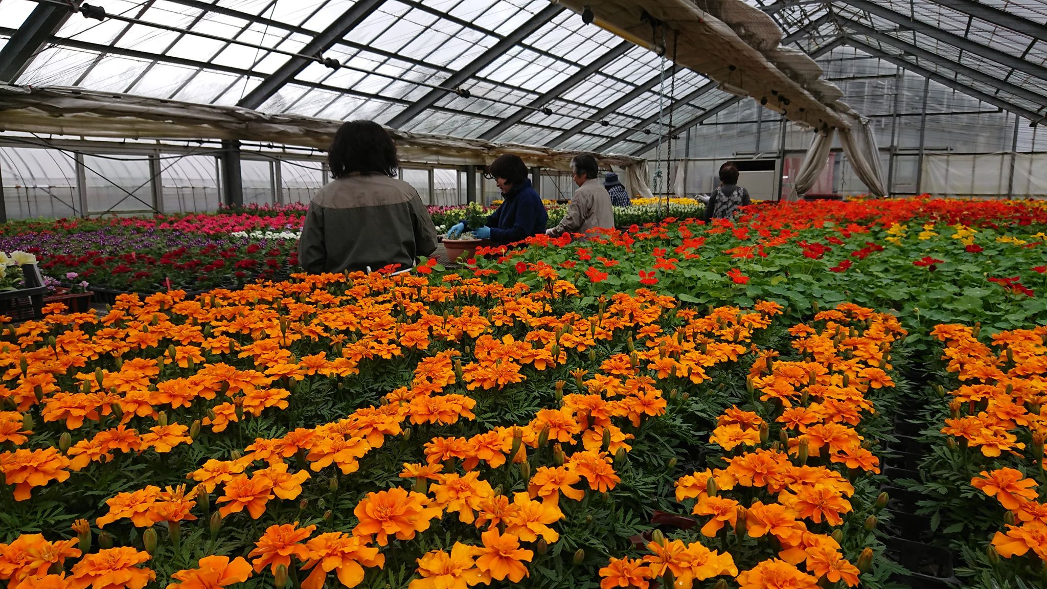 今年度の「JOY☆ガーデニング隊」始動☆