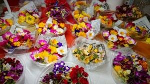 58717994_2187278134683574_2762409444506599424_n