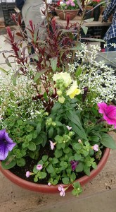 58727323_429252314289322_2551681422498725888_n