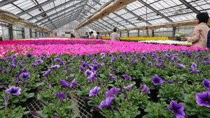 59192842_341669316487762_4574640198922534912_n