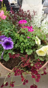 59203819_2175290882558349_1305703537254072320_n