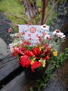 59535571_2302661339952296_1862117478163808256_n