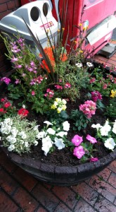 56711217_2264767153777040_4585397631710134272_n