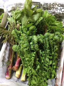 57360384_2636673126403477_9021508479453495296_n