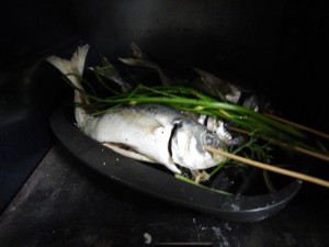 57379410_2411552825797672_9133018960172679168_n