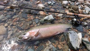 58441475_2636672823070174_4983157705498689536_n