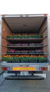 58612989_312591762743373_663969671577337856_n