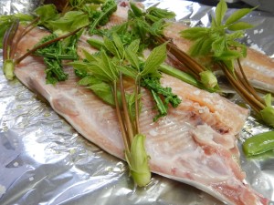 58718006_2420624294623323_8786998270044930048_n