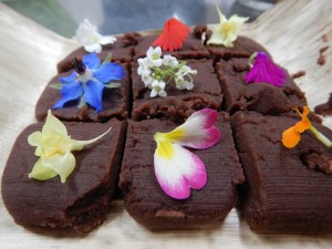 58852879_2342138502684099_603596106571448320_n