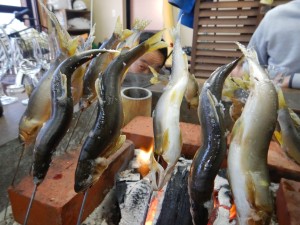 58895069_464419964366034_4145473902631452672_n