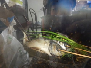 59360597_347843022750442_8140729202371461120_n