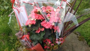 59380275_2377815619170140_1642243168680280064_n