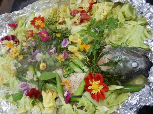 59461168_2217108421935979_1671713907120537600_n