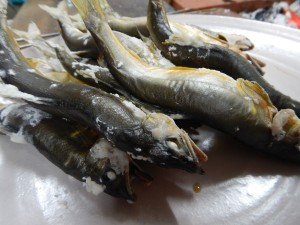 59499276_2112961905469307_7362249956016521216_n