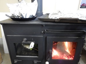 59686052_444955106072884_4645915975768604672_n