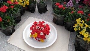 59770602_424441458289278_9104024963102277632_n