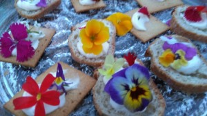 59799155_336664213712953_9026074553675153408_n