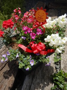 59858233_801629646881539_6972718730329456640_n