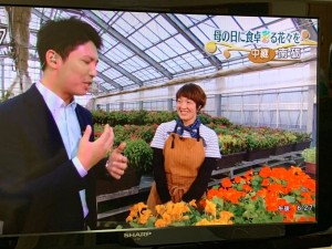 59871135_808353582898784_2183069861524013056_n