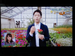 59900981_405152976882667_6667549789141336064_n