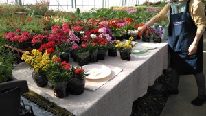 59903744_2034509456857764_104005098383867904_n