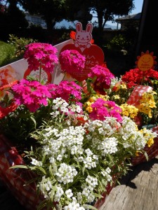 60011756_746797812381238_5798442734226243584_n