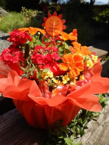 60028120_607081659771199_5196331831640719360_n