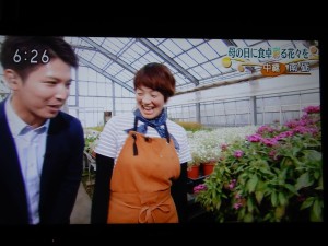 60041266_2345083602428903_1963395654566805504_n