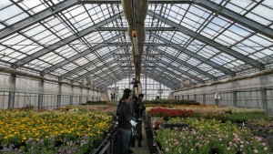 60052612_603048820181326_2850528343625826304_n