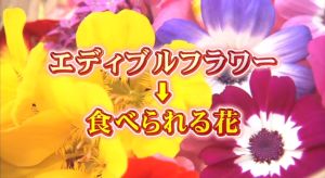 60067718_428733374627197_8596123240441577472_n