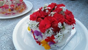 60077009_654858114950073_3856730393851985920_n