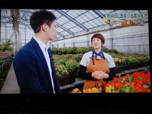 60078537_1344058852399211_4613824770406875136_n