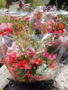 60088061_671473413282385_6554188332136398848_n