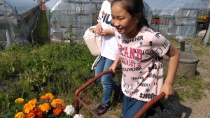 60117049_378398166101147_1154160370743508992_n