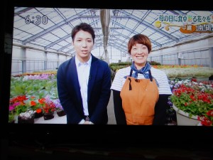 60190886_360232517944745_2436952422136938496_n