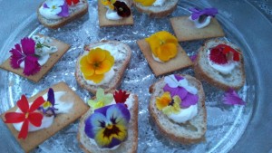 60193852_424747291443403_46622600142520320_n