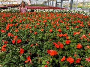 60194331_600195433825957_4211812077699858432_n