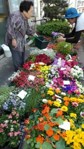 60273370_2220776851333702_2285985253690441728_n