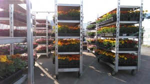 60332764_2223240564420664_152673498823655424_n