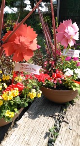 60335804_640042523135020_2879423595103125504_n