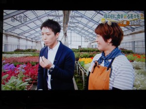 60339396_837955513243898_7417258917891145728_n