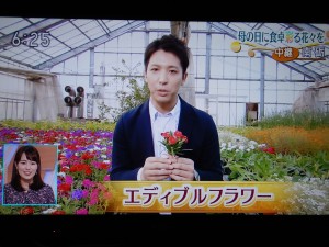 60343593_2279400705669395_8340865869387137024_n