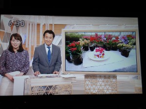 60346802_820818368290709_7125513686533275648_n