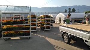 60347537_2223240617753992_5292647392376520704_n