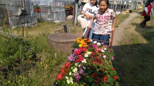 60348710_330375510999731_4403123974196690944_n